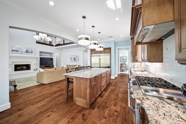 kitchen with under cabinet range hood, high quality appliances, ornamental molding, a warm lit fireplace, and a sink