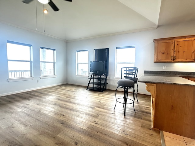 interior space featuring a ceiling fan, light wood-type flooring, baseboards, and ornamental molding