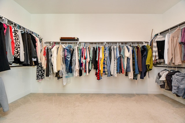 spacious closet featuring carpet floors