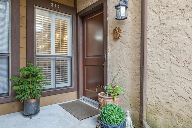 view of exterior entry with stucco siding