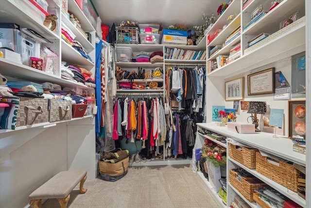 view of spacious closet