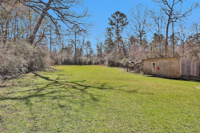 view of yard featuring an outbuilding and a storage unit