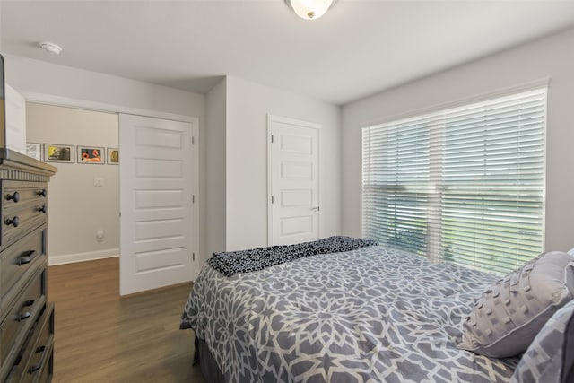 bedroom with dark wood finished floors, baseboards, and a closet