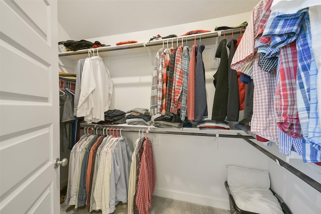 view of spacious closet