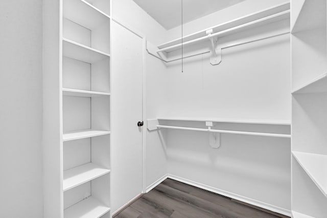 spacious closet featuring dark wood-style floors