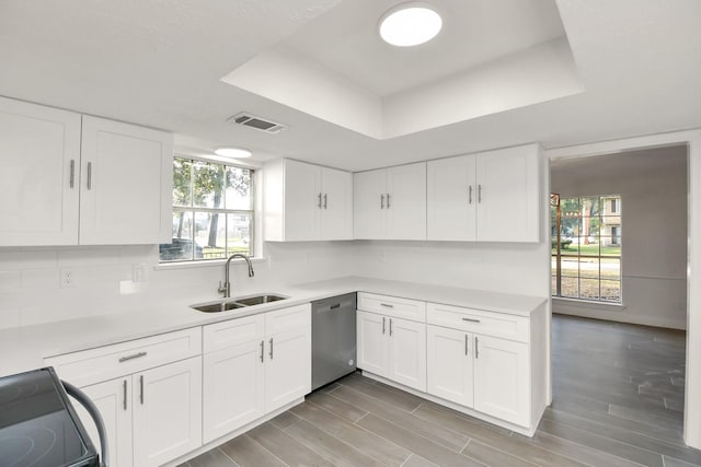 kitchen featuring a sink, light countertops, white cabinetry, a raised ceiling, and stainless steel dishwasher