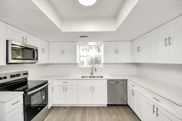 kitchen with visible vents, wood finish floors, a tray ceiling, appliances with stainless steel finishes, and a sink