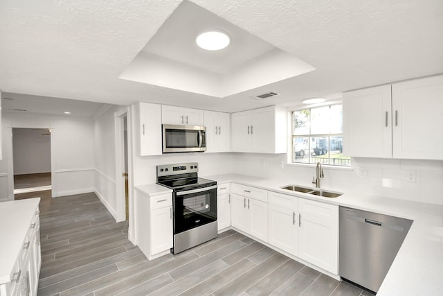 kitchen featuring visible vents, wood finish floors, a tray ceiling, appliances with stainless steel finishes, and a sink