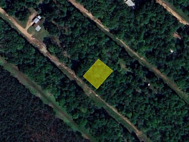 00 Terrell Rd, Livingston TX, 77351 land for sale