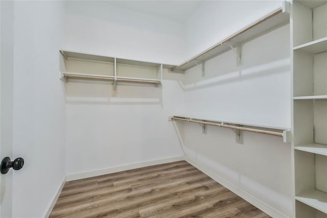 spacious closet featuring wood finished floors