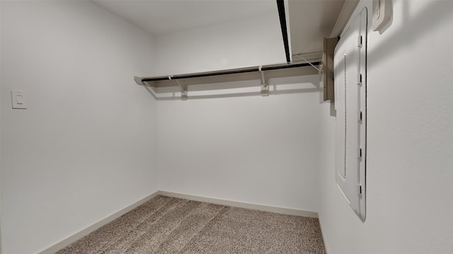 walk in closet with carpet