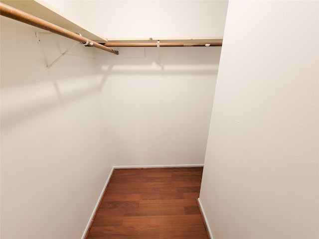 walk in closet with wood finished floors