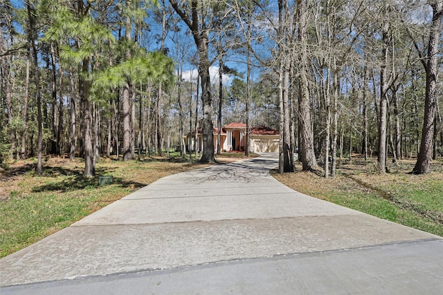 exterior space featuring concrete driveway