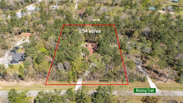 21971 Blazing Trl, New Caney, TX 77357 - drone / aerial view with a view of trees