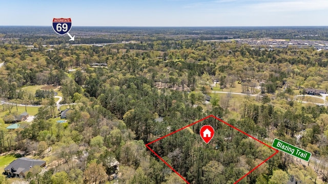 21971 Blazing Trl, New Caney, TX 77357 - birds eye view of property with a view of trees