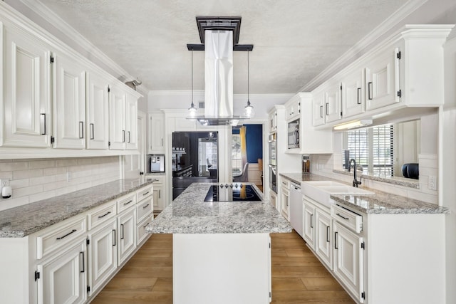 kitchen with wood finished floors, a kitchen island, a sink, stainless steel appliances, and island range hood