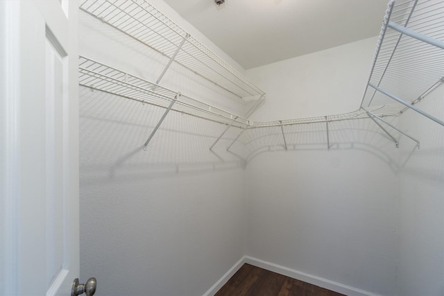 spacious closet featuring dark wood-style floors