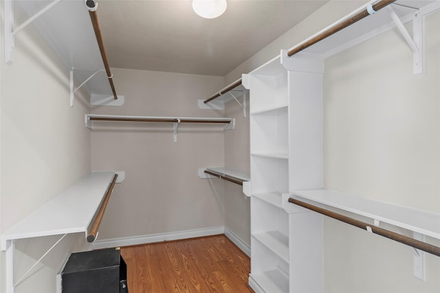 walk in closet featuring wood finished floors