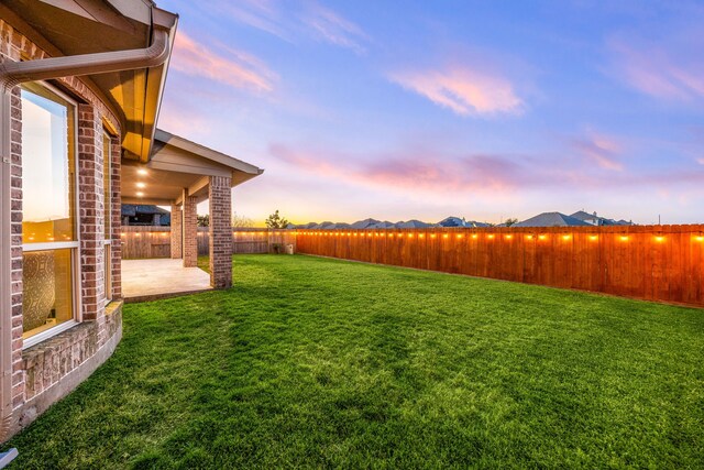 view of yard with a patio and a fenced backyard