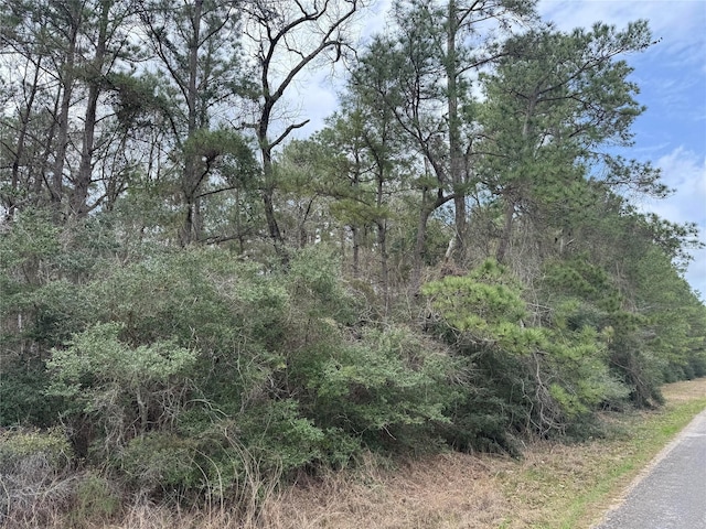 17140 Lone Star Rd, Navasota TX, 77868 land for sale