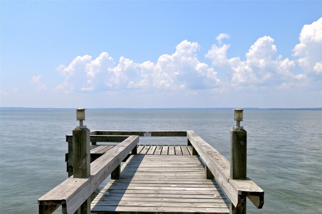 dock area with a water view