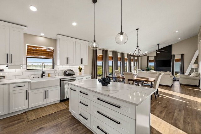 kitchen with stainless steel dishwasher, dark wood finished floors, a wealth of natural light, and a sink