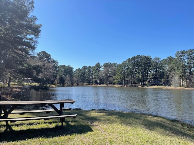 water view featuring a view of trees