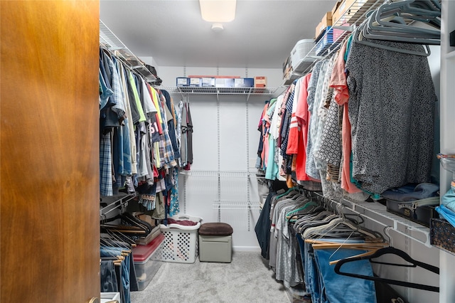 spacious closet featuring carpet floors