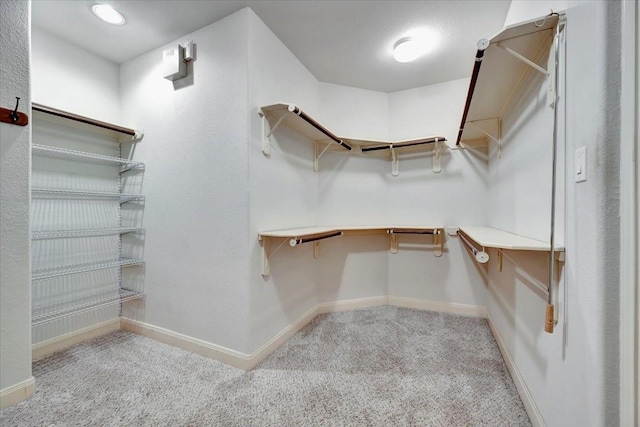 walk in closet featuring built in desk and carpet floors