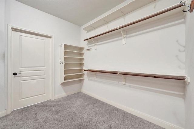 walk in closet with carpet floors