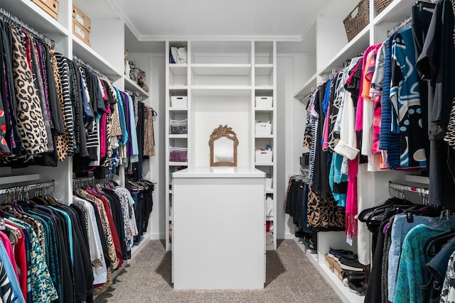 spacious closet featuring carpet flooring