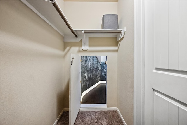 spacious closet with carpet flooring