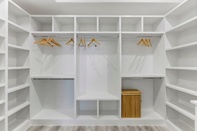 spacious closet featuring wood finished floors