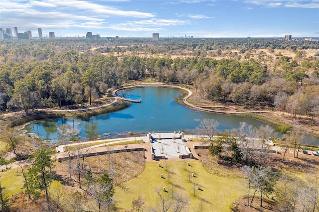 aerial view featuring a water view and a wooded view