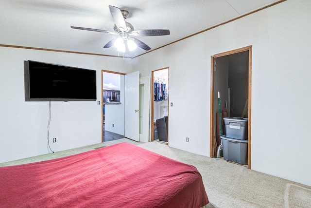 carpeted bedroom featuring ensuite bath, crown molding, a spacious closet, and a ceiling fan