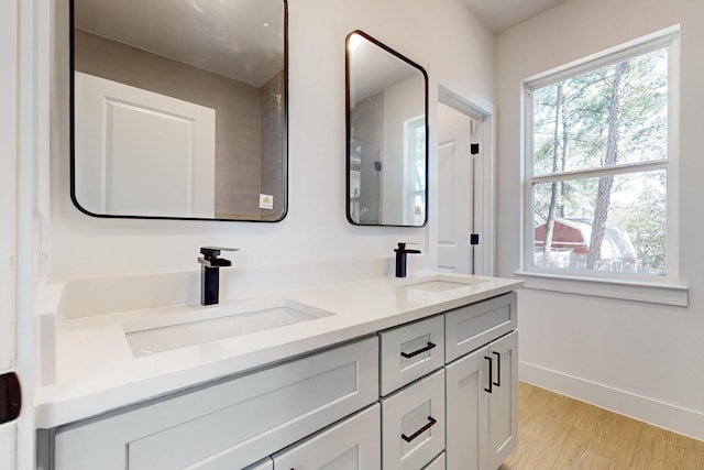 full bathroom featuring double vanity, wood finished floors, baseboards, and a sink