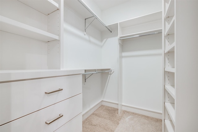 spacious closet featuring carpet flooring