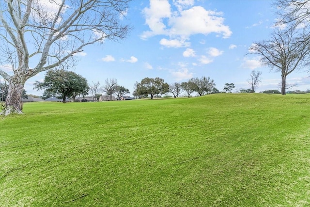 view of yard featuring a rural view