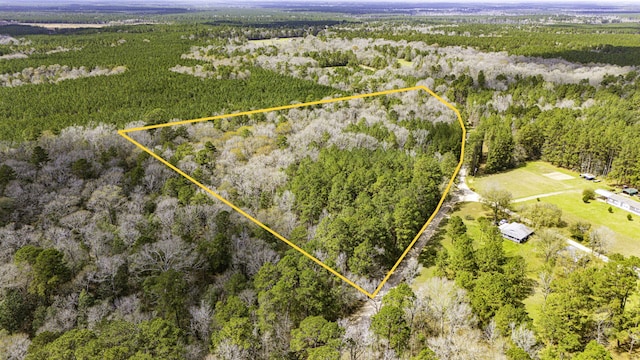 4102 Holly Grove Rd, Livingston TX, 77351 land for sale