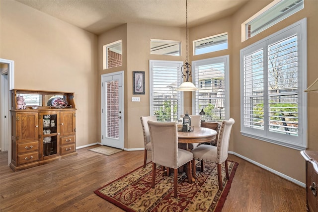 dining room with wood finished floors, baseboards, and a textured ceiling