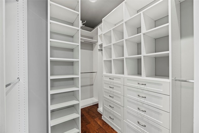 spacious closet with dark wood-type flooring