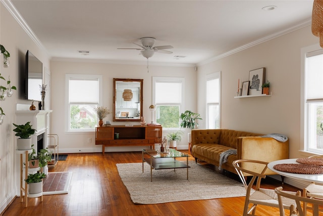 living room featuring a fireplace with raised hearth, wood-type flooring, and ornamental molding