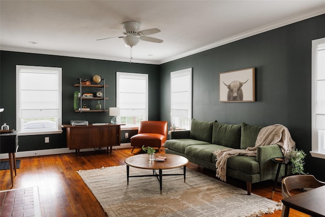 living area featuring baseboards, wood-type flooring, ceiling fan, and crown molding