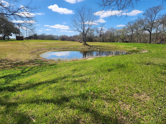 view of yard featuring a water view