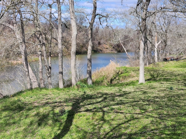 water view featuring a forest view