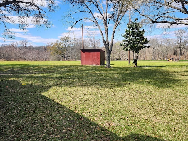 view of yard with an outbuilding and a storage unit