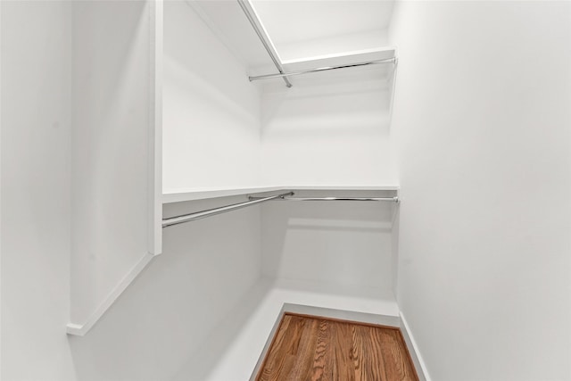 spacious closet featuring wood finished floors