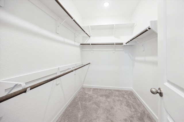 spacious closet featuring light colored carpet