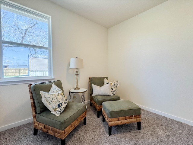 sitting room featuring baseboards and carpet floors