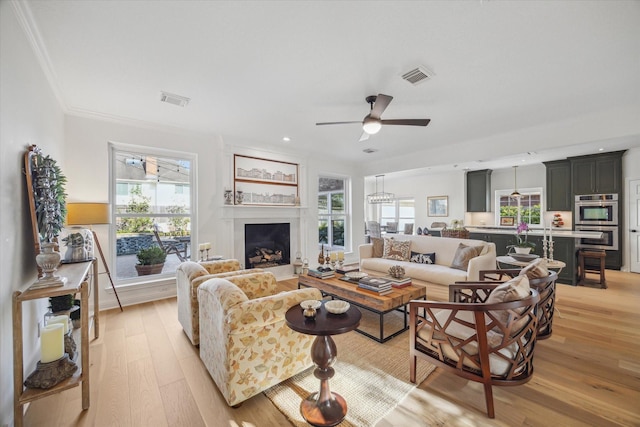 living room with ceiling fan, crown molding, visible vents, and light wood-type flooring